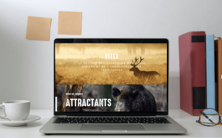Visuel du projet Site e-commerce Prestashop