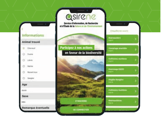 Visuel du projet Application smartphone d’information terrain géolocalisée