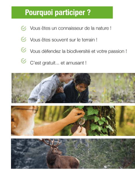 Visuel du projet Application smartphone d’information terrain géolocalisée
