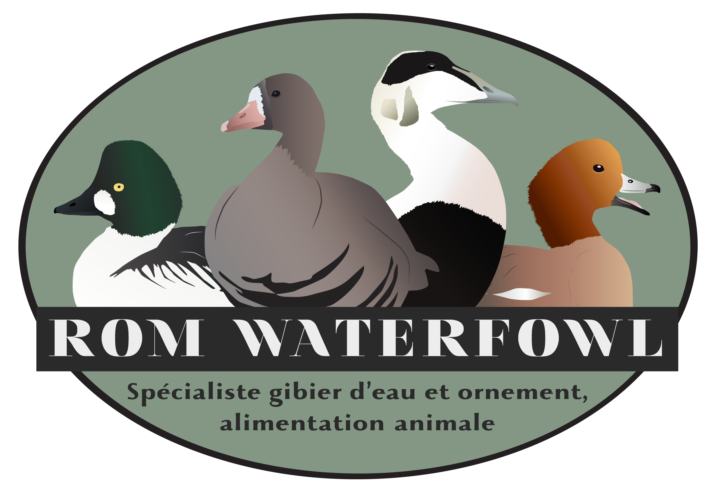 Rom Waterfowl