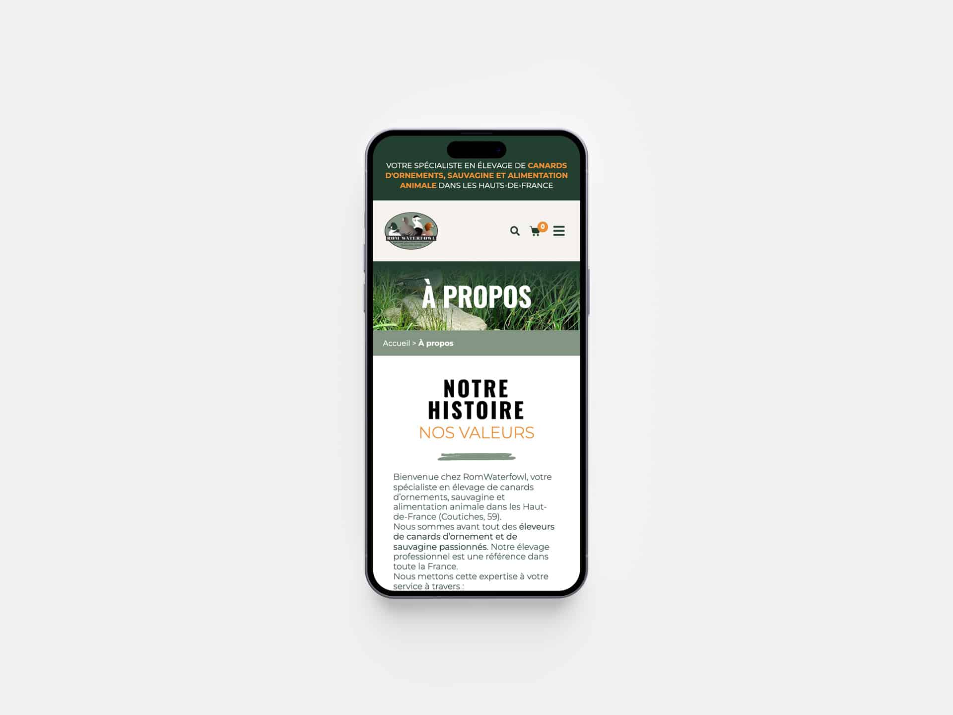 Visuel du projet Refonte e-commerce complète